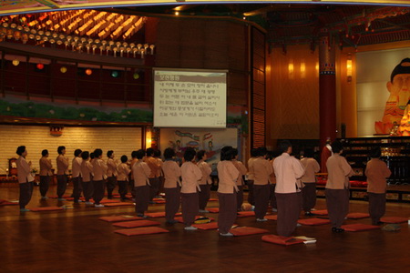tthqpg08.jpg