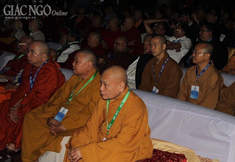 IMG_7793_resize.jpg