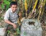 Một số họa tiết trang trí hoa sen tiêu biểu thời Lý – Trần