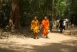 Ta Prohm - vẻ đẹp của sự hoang tàn