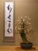 Ý Niệm Sắc Xuân - Nghệ Thuật Bonsai Nhật Bản