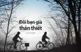 Đôi bạn già thân thiết