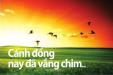 Cánh đồng nay đã vắng chim