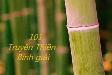 101 Truyện Thiền.
101 Zen Stories