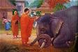 QUAN ĐIỂM CỦA ĐẠO PHẬT 
VỀ SÁT SANH VÀ CHIẾN TRANH