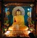 Hiện Tượng Chánh Pháp