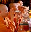 Chùm ảnh: Thanh thoát mùa an cư 2011