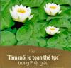 Về “Tám mối lo toan thế tục” trong Phật giáo