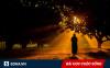 Đánh cược với hòa thượng, cậu bé thắng một gánh củi nhưng để mất thứ quý giá gấp nhiều lần