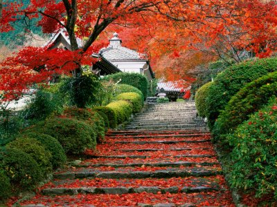 Thăm cố đô Kyoto, Nhật Bản