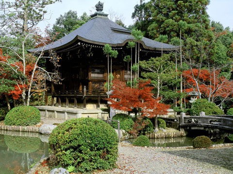 Thăm cố đô Kyoto, Nhật Bản