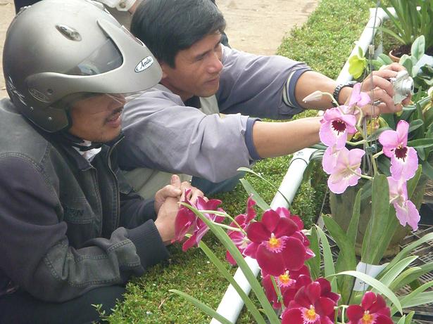 Mô tả ảnh.