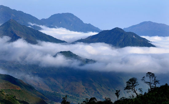 Trời sáng, sương lơ lửng cuốn quanh đỉnh núi