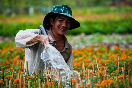 Ảnh đẹp ngày xuân trên mọi miền đất nước