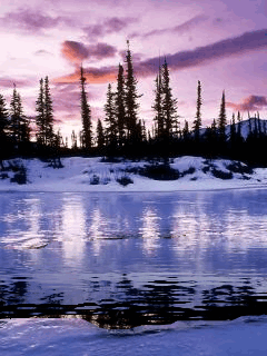 Animated wallpaper, screensaver 240x320 for cellphone