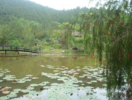 Thanh thản, yên bình