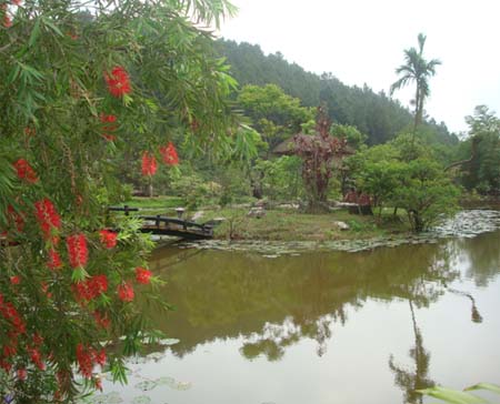 Tĩnh lặng, an nhiên