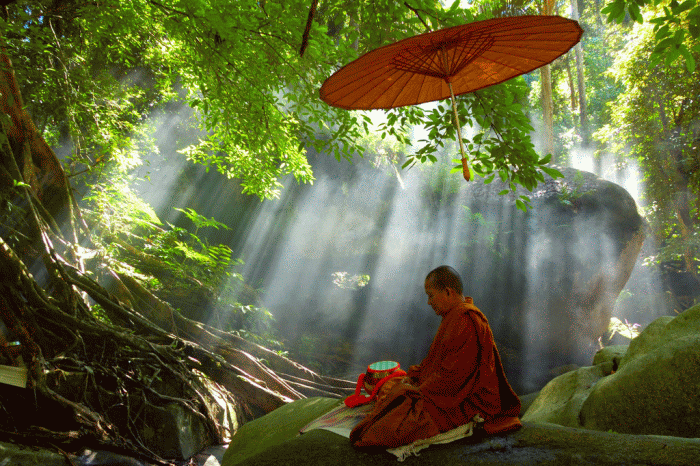 monk meditation.gif