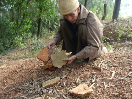 Những kho báu trong núi ở Hải Phòng l� có thật