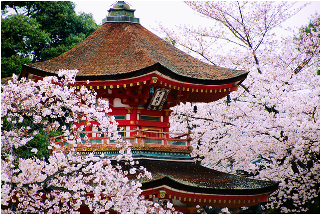 http://blog.friendlyplanet.com/media/japanese-pagoda.png