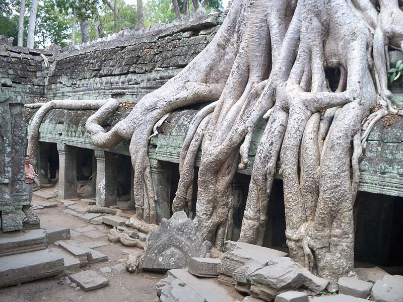 800px-Ta_Phrom_1.jpg