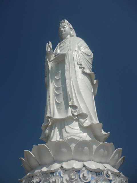 P1020434.jpg