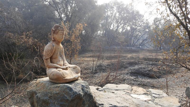 Mike lost everything except his Buddha!