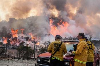 Wood Valley Fire 01